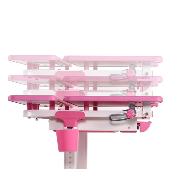 Растущая парта и стул Lavoro Pink в Салехарде - изображение 3