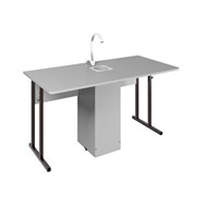 Детский стол 2-местный для кабинета химии Стандарт 6, Пластик Серый/Коричневый в Липецке