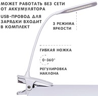 Настольный светильник  Holto TL-12388 в Казани - предосмотр 2