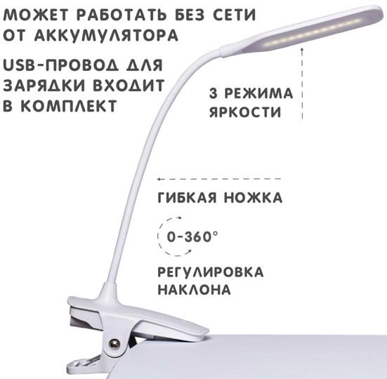 Настольный светильник  Holto TL-12388 в Краснодаре - изображение 2
