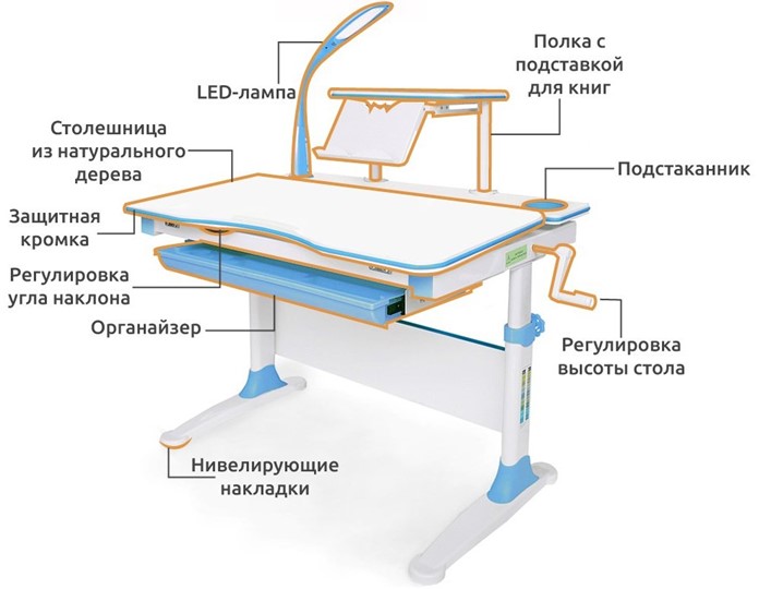Растущая парта + кресло Mealux EVO Evo-30 BL в Тольятти - изображение 1