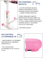 Растущая парта и растущий стул SET HOLTO-17А, розовый в Екатеринбурге - предосмотр 10