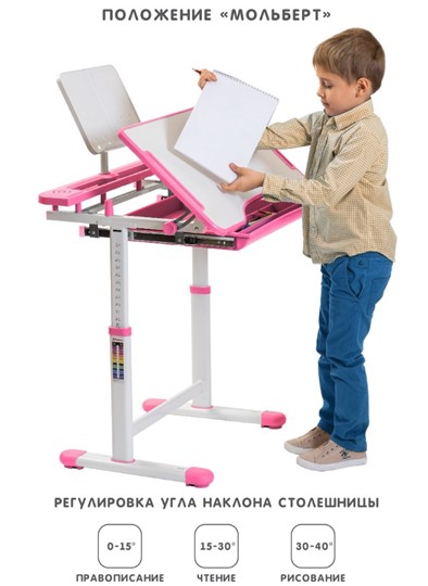 Растущая парта и растущий стул SET HOLTO-17А, розовый в Перми - изображение 2