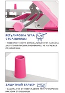 Растущая парта и растущий стул SET HOLTO-17А, розовый в Липецке - предосмотр 8