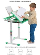 Растущая парта и растущий стул SET HOLTO-17А, зеленый в Екатеринбурге - предосмотр 2